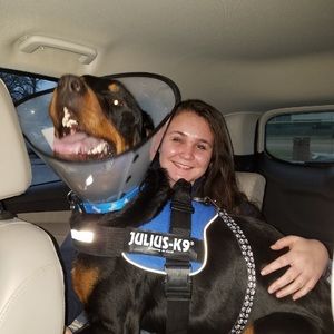 Meet your Posher, Alex